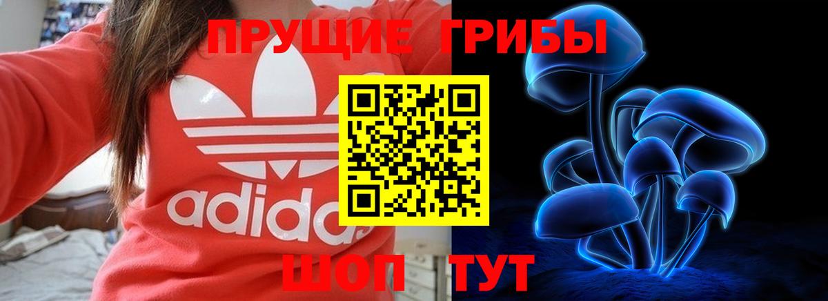 Галлюциногенные грибы мицелий  Вход с VPN  Псилоцибиновые грибы MAGIC MUSHROOMS  цена наркотик  Александров 