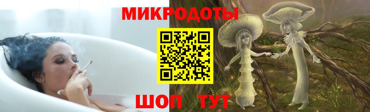 Псилоцибиновые грибы мицелий Александров