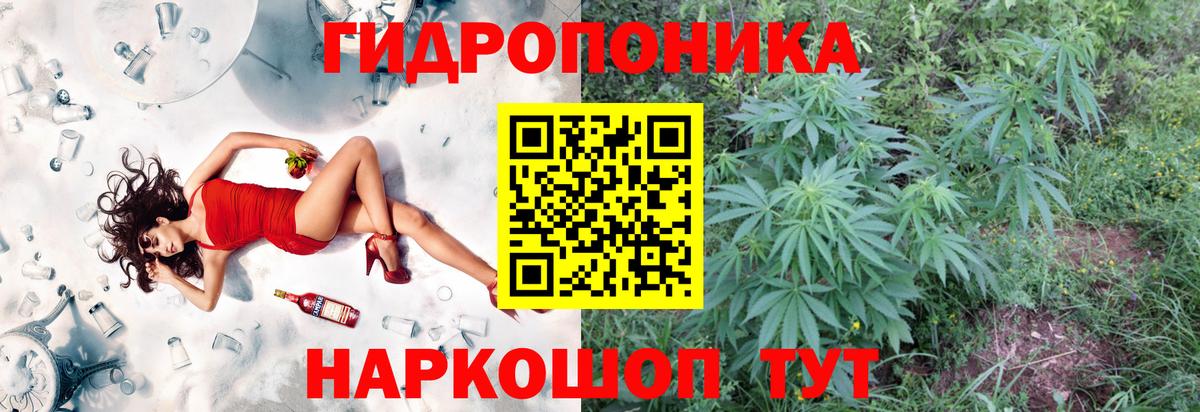Каннабис AK-47 Александров
